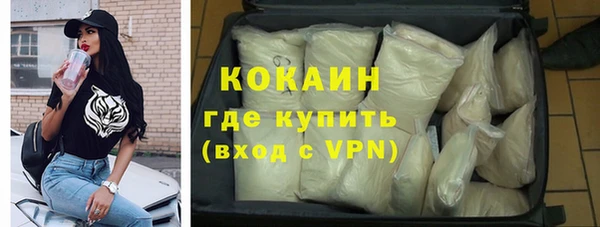 прущие грибы Аркадак