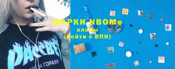 прущие грибы Аркадак