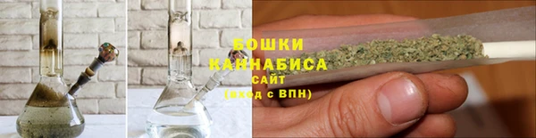 прущие грибы Аркадак