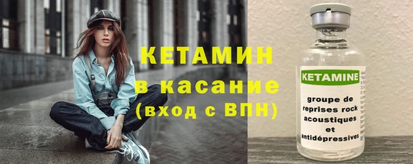 прущие грибы Аркадак
